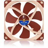 Noctua NF-A14 PWM Case per computer Ventilatore 14 cm Marrone Ventilatore, 14 cm, 300 Giri/min, 1500 Giri/min, 24,6 dB, 140,2 m³/h