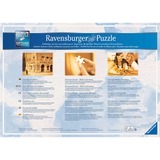 Ravensburger RAV Puzzle Märchenschloss in 4 Jahresz.| 16137 18000 pz 18000 pz, 14 anno/i