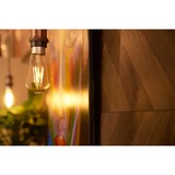 Shelly Vintage ST64, Lampada a LED 
