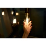 Shelly Vintage ST64, Lampada a LED 