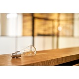 Shelly Vintage ST64, Lampada a LED 