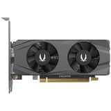 ZOTAC ZT-A30510L-10L, Scheda grafica 