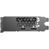 ZOTAC ZT-A30510L-10L, Scheda grafica 
