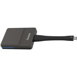 iiyama Dongle per presentazioni wireless WP D002C, Trasmettitore Nero