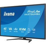 iiyama X4373UHSU-B2, Monitor LED Nero (opaco)