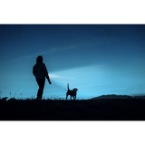 Ansmann Daily Use 150B, Torcia elettrica argento/Nero