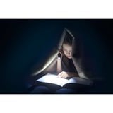 Ansmann Daily Use 150B, Torcia elettrica argento/Nero