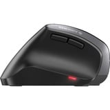 CHERRY MW 4500 mouse Mancino RF Wireless Ottico 1200 DPI Nero, Mancino, Ottico, RF Wireless, 1200 DPI, Nero, Grigio