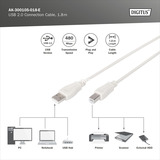 Digitus Cavo di collegamento USB 2.0 USB-A (spina) > USB-B (spina) beige