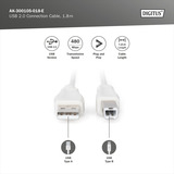 Digitus Cavo di collegamento USB 2.0 USB-A (spina) > USB-B (spina) beige
