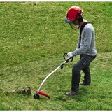 EINHELL GC-PT 2538/1 I AS 600 W Benzina Nero, Grigio, Rosso, Tagliabordi rosso/Nero, Tagliabordi, Impugnatura a D con avvolgimento filo, 2 mm, 4 m, 8500 Giri/min, Nero, Grigio, Rosso