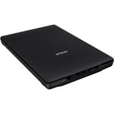 Epson B11B268401, Scanner piano Nero
