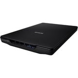 Epson Perfection V39II Scanner piano 4800 x 4800 DPI A4 Nero Nero, 216 x 297 mm, 4800 x 4800 DPI, 48 bit, 24 bit, 4800 DPI, Scanner piano