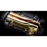 G.Skill DIMM 48 GB DDR5-6000 (2x 24 GB) Kit dual, Memoria oro