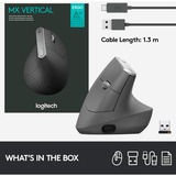 Logitech MX Vertical mouse Mano destra RF senza fili + Bluetooth Ottico 4000 DPI Nero/Argento, Mano destra, Ottico, RF senza fili + Bluetooth, 4000 DPI, Grafite