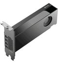 PNY NVIDIA RTX PRO 2000 Blackwell Generation 16GB PB, Scheda grafica Bulk