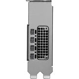 PNY NVIDIA RTX PRO 2000 Blackwell Generation 16GB PB, Scheda grafica Bulk