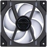 Phanteks D30-120 PWM Reverse DRGB Nero