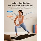 Renpho Elis Nova, Scala Nero