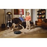 Roborock Qrevo MaxV 0,33 L Nero, Aspirazione robot Nero, Senza sacchetto, Nero, Rotondo, Sacchetto per la polvere, 0,33 L, Carica, Purification