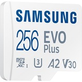 SAMSUNG EVO Plus 256 GB microSDXC (2024) bianco