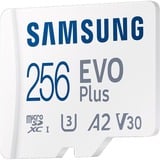 SAMSUNG EVO Plus 256 GB microSDXC (2024) bianco