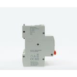 Shelly Pro 4CB C63, Backup grigio