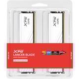 ADATA DIMM 48 GB DDR5-6000 (2x 24 GB) Dual-Kit, Memoria bianco