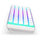 ENDORFY EY5D004, Tastiera da gioco bianco