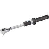 Hazet Chiave dinamometrica 5121-2CLT, 1/2" 