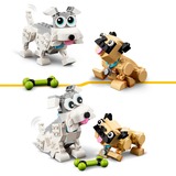 LEGO Creator 31137 Adorabili Cagnolini, Set 3 in 1 con Bassotto, Carlino, Barboncino e altri Animali, Giocattolo da Costruire, Giochi di costruzione Set 3 in 1 con Bassotto, Carlino, Barboncino e altri Animali, Giocattolo da Costruire, Set da costruzione, 7 anno/i, Plastica, 475 pz, 596 g