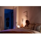 Philips Hue Lampada da tavolo White & Color Ambiance Iris Edizione Speciale, Luce LED bianco
