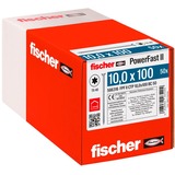 fischer PowerFast II 10,0x100 SK TX TG blvz, 566316 