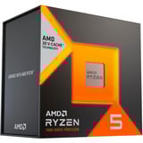 AMD 100-100001721WOF boxed