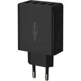 Ansmann HC430 Nero Interno, Caricabatterie Nero, Interno, AC, 5 V, Nero