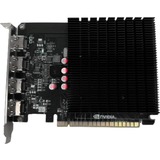 Biostar VN7313TG46, Scheda grafica 