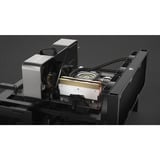 Corsair DOMINATOR TITANIUM Kit accessori Wave Oro, Apertura oro