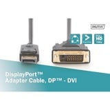 Digitus Cavo adattatore DisplayPort > DVI-D, Interlock Nero