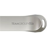 Team Group C222 128 GB argento