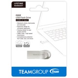 Team Group C222 128 GB argento