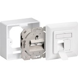 goobay CAT 6 D Universal cassetta di scarico bianco, Wentronic CAT 6 D Universal