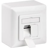 goobay CAT 6 D Universal cassetta di scarico, Scatola di giunzione bianco, Wentronic CAT 6 D Universal