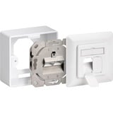 goobay CAT 6 D Universal cassetta di scarico, Scatola di giunzione bianco, Wentronic CAT 6 D Universal