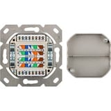 goobay CAT 6 D Universal cassetta di scarico, Scatola di giunzione bianco, Wentronic CAT 6 D Universal