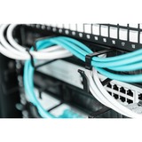 Digitus Porta accessori, Instradamento dei cavi Nero, Pannello di gestione del cavo, Nero, Acciaio, 1U, 19", Turchia