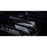 G.Skill F5-8200C4052G24GX2-TZ5CK, Memoria Nero