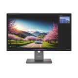 Lenovo P32UD-40(C25315UP0), Monitor LED Nero