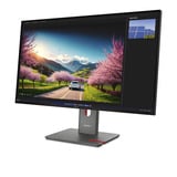 Lenovo P32UD-40(C25315UP0), Monitor LED Nero