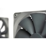 Noctua NF-P14S REDUX-1500 PWM sistema di raffreddamento per computer Case per computer Ventilatore 14 cm Grigio Ventilatore, 14 cm, 450 Giri/min, 1500 Giri/min, 25,8 dB, 133,7 m³/h