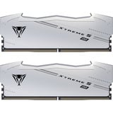 Patriot VX548G9646CK, Memoria argento